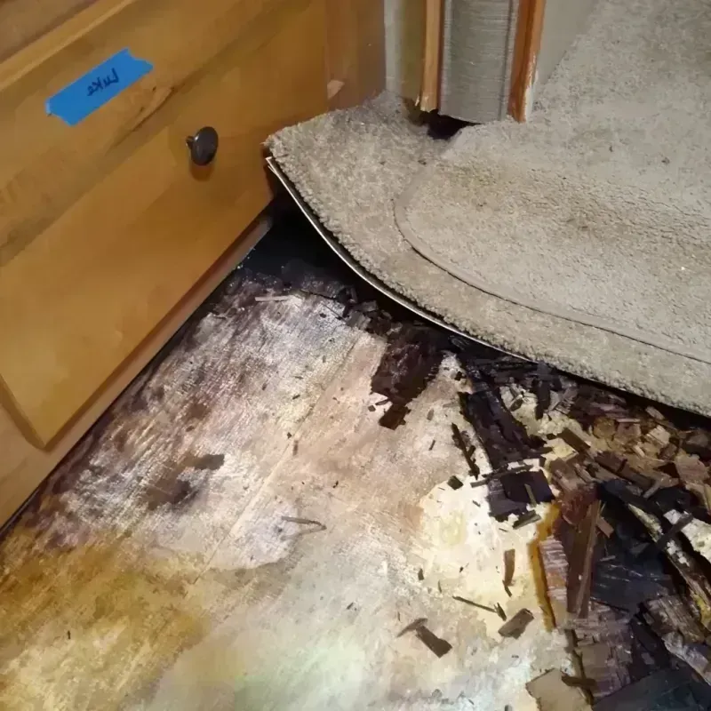 Wood Floor Water Damage in Pasadena, MD